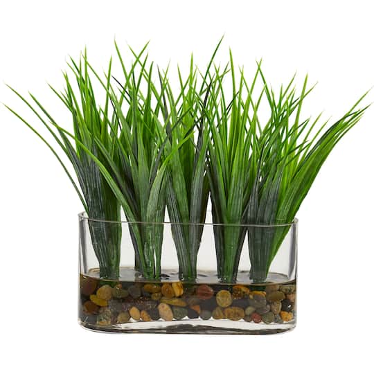 9'' Vanilla Grass Plant in Clear Oval Vase